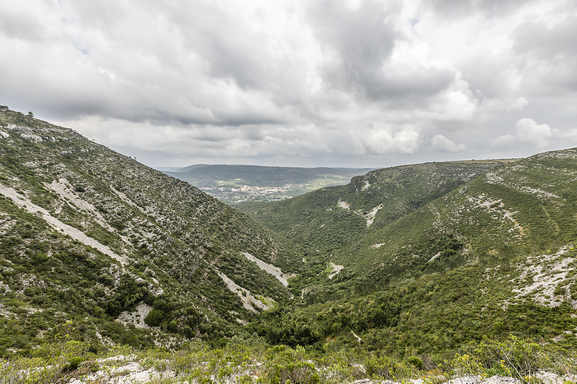 Alvados-87.jpg