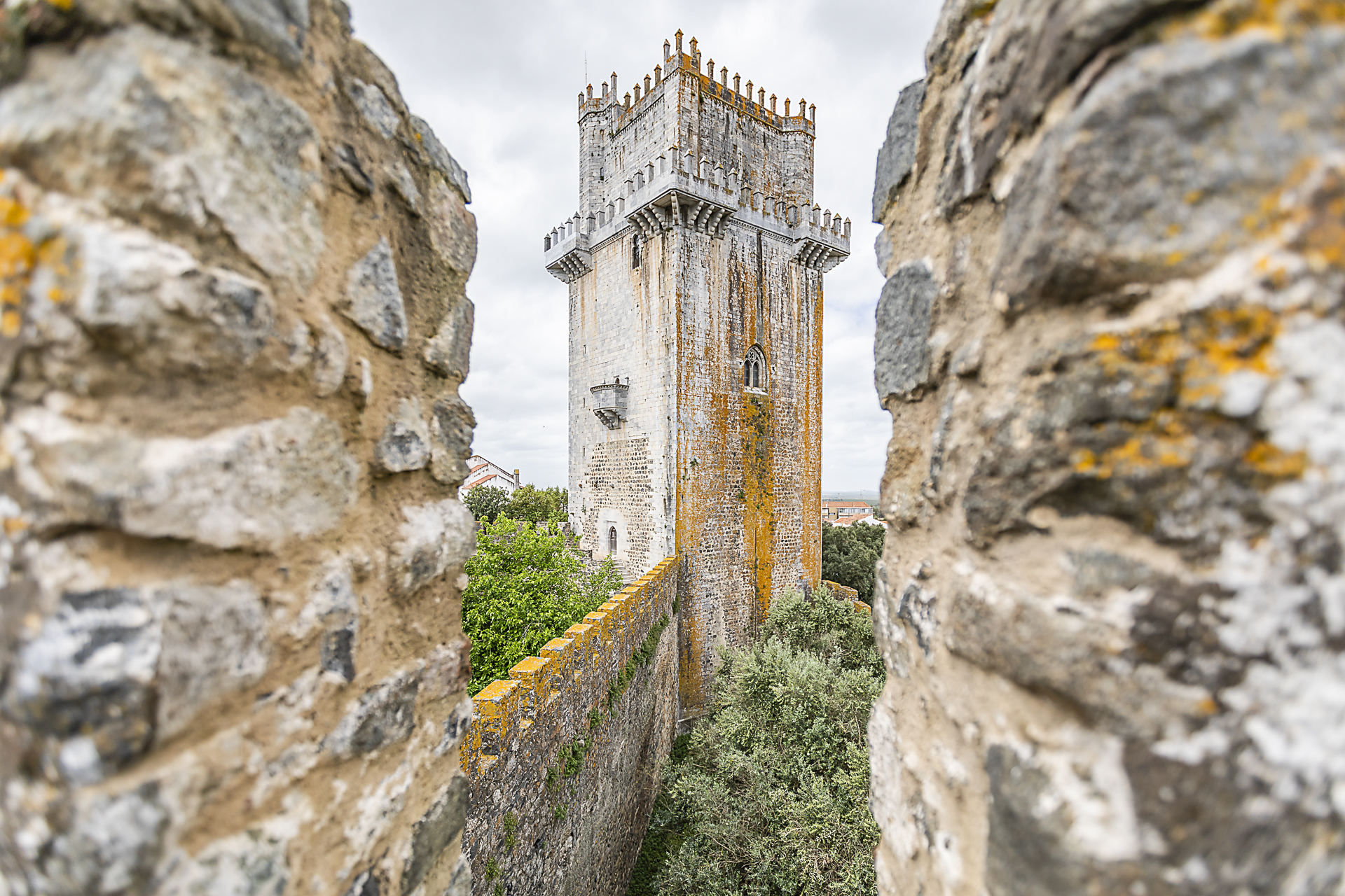 Beja-47.jpg