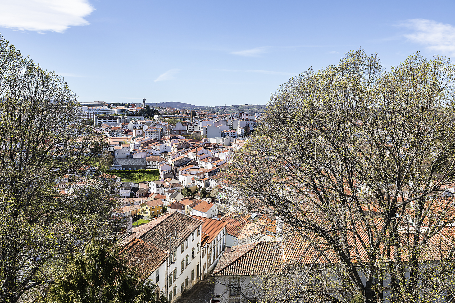 Bragança-81.jpg